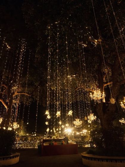 Spectacular Sangeet & Reception Nights photo 19