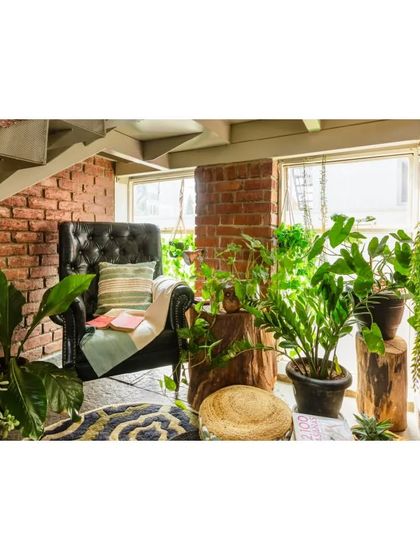 Another view of the reading nook, showing how we use plants to soften architectural elements and bring nature indoors.