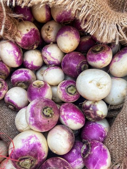 Fresh turnips, or shalgam, ready to be pickled. These are one of the key ingredients that give our Gajar Gobhi Shalgam pickle its unique texture and flavour.