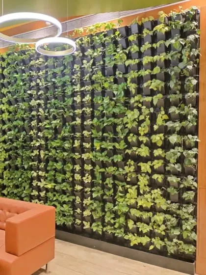 This is a large-scale live green wall we installed in a newly renovated corporate office in Andheri. These bio-walls act as natural air purifiers and significantly enhance the aesthetic of a modern workspace, creating a productive environment.