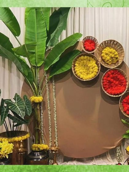 Timeless Traditional Designs photo 8