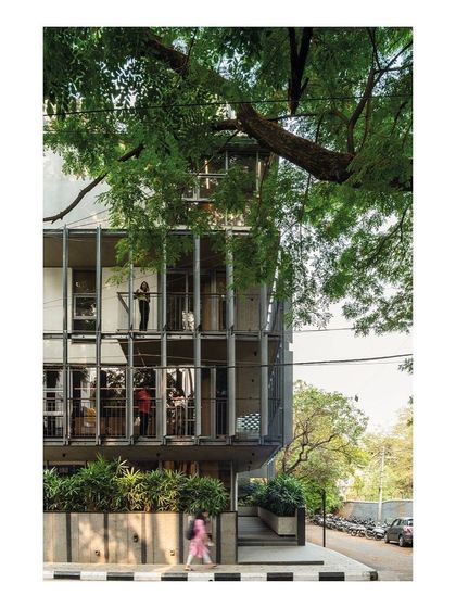 The building's design actively engages with the large rain tree on the site. The structure is set back, and the staggered balconies are positioned to offer different views of the tree, making it a central part of the architectural experience.