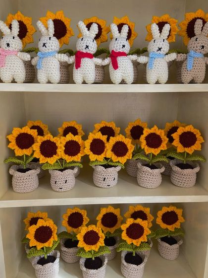 Cheerful Potted Plants photo 17