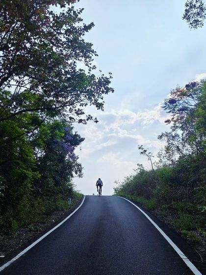 A lone rider tackles a climb on a quiet, tree-lined road in the Palani Hills. Our routes are carefully chosen to be traffic-free, allowing you to focus on the ride and the beautiful nature around you.