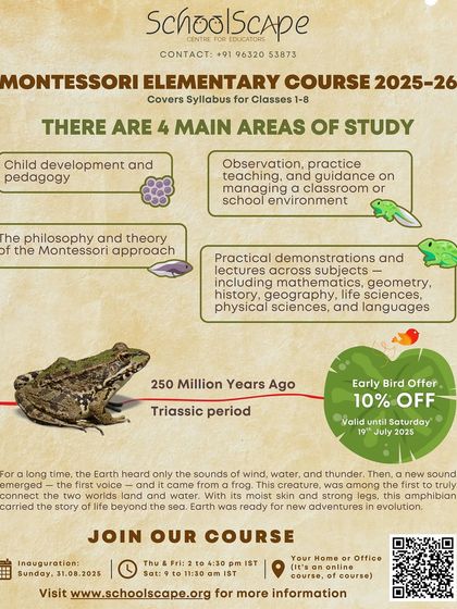 Our Elementary Course curriculum is structured around four main areas of study, including child development, Montessori philosophy, practical demonstrations, and classroom management.