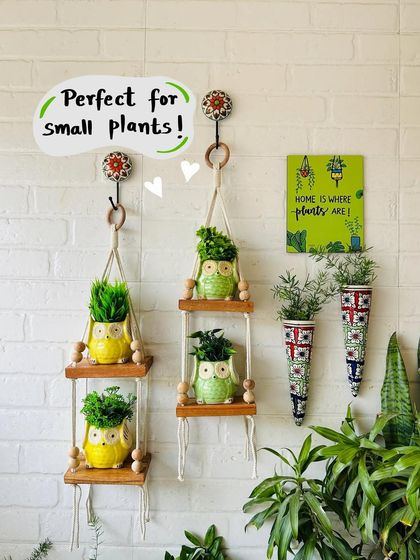 Our mini ceramic planters are perfect for small plants. Here they are displayed on our double-tier macrame wall shelves, creating a lovely green and bright balcony decor setup.