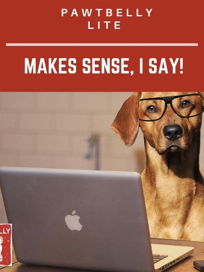 Pawtbelly - Fresh Dog Food Delivery Our Freshly Cooked Meals photo 4