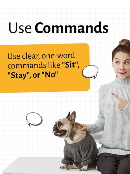 Pethowz - Pet Parent Education Positive Pet Training Guides photo 5