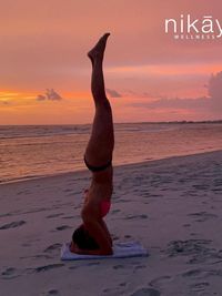 Ongoing Yoga Classes (Online, In-Person & Private)