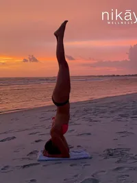 Ongoing Yoga Classes (Online, In-Person & Private)