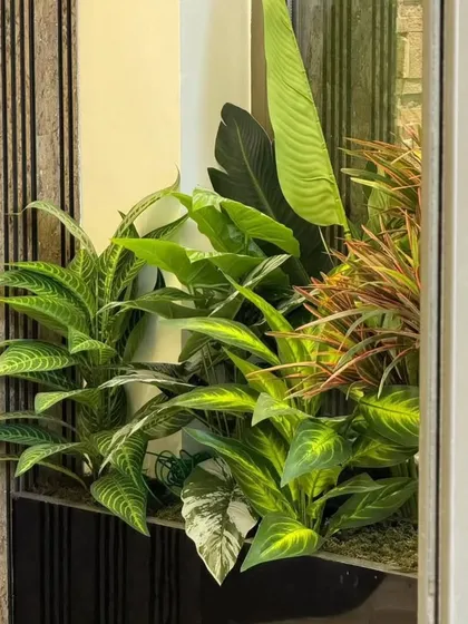 A close-up of a mixed planter arrangement. We combine plants with different leaf shapes, colors, and patterns, like the Zebra Plant and Croton, to create a rich and textured display.
