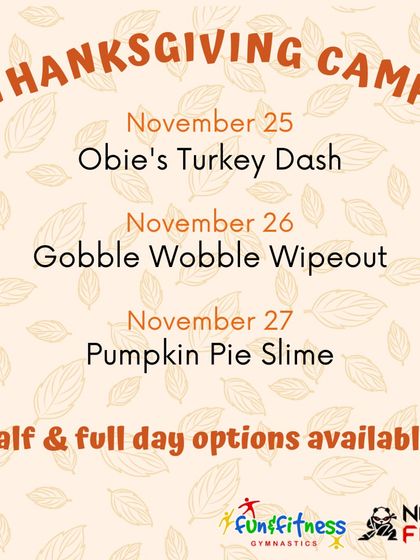 Fun & Fitness - Kids Holiday & Day Camps Camp Schedules & How to Register photo 5