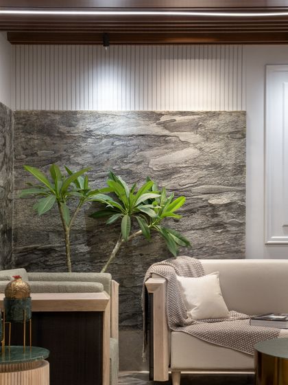 A close-up of the living area, highlighting the textured stone accent wall and the lush indoor plant that brings a touch of nature indoors.