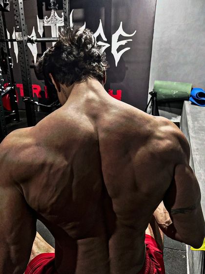 Anupam Adarsh Mishra - Strength and Physique Coaching The Aesthetic Blueprint photo 91