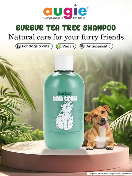 Augie Pets - Pet Supplies Spa Day at Home: Gentle Grooming Essentials photo 41