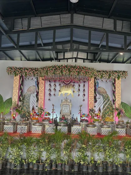 A peacock-themed stage with a golden throne and large peacock illustrations on the backdrop.