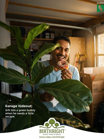 Every dad needs a secret hideout, and every hideout needs a green buddy. A Fiddle Leaf Fig is the perfect companion for his garage escape, offering a touch of nature when he needs a little break.