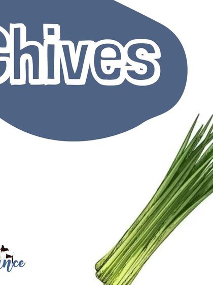 Chives are in the same family as onions and garlic and are also toxic to dogs. Be careful with them in your garden or kitchen.