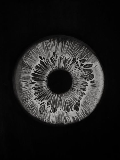 "Iris." This is a close-up study of the complex patterns within an iris. The high contrast between the white graphite and the black background makes the details pop.