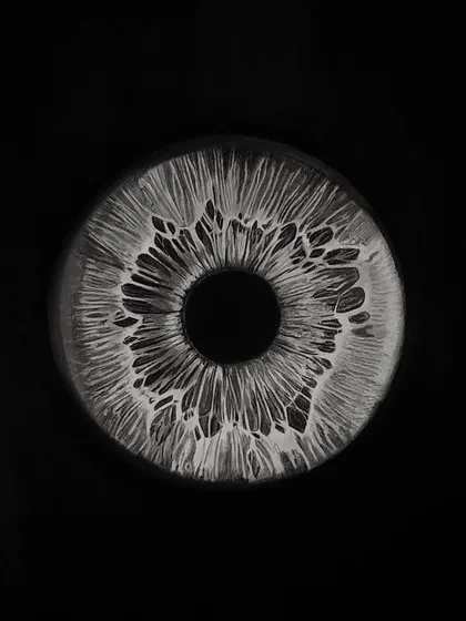 A detailed study of the iris. The patterns are so intricate and unique, like a fingerprint.