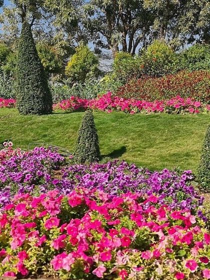 Ratnashri Landscapers - Landscape Design & Build My Journey in Nature photo 7