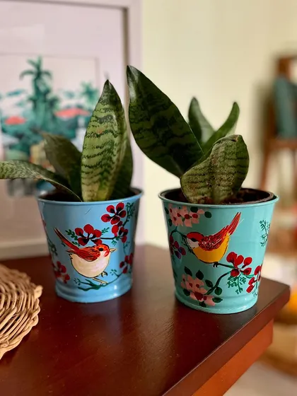 A set of two metal planters painted with cherry blossoms and birds, perfect for small indoor plants like snake plants.