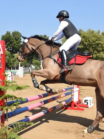 Our Champions: A Legacy of Wins photo 11