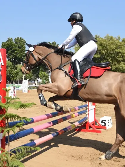 An action shot of my superstar rider Yug Shokken during the children's jumping accumulator at the JNEC Bhopal, where he won a silver medal.
