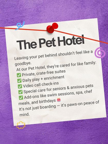 PawsnCollars - Pet Boarding & Hotel Our Philosophy & Services photo 3