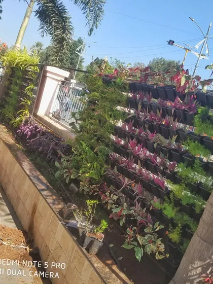 The vertical garden is starting to take shape, with rows of different plants creating a colorful and textured display.