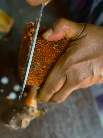 The journey of our Jackfruit Thoran begins here. A hand carefully slices the raw jackfruit, the first step in transforming this humble vegetable into a seasonal delicacy for our Vishu Sadya.