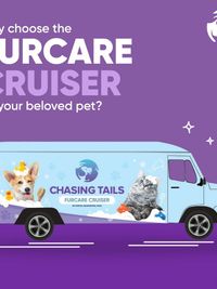 Mobile Pet Grooming