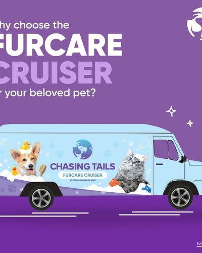 Mobile Pet Grooming