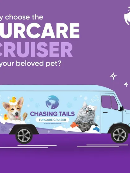 This is the Furcare Cruiser, my state-of-the-art pet salon on wheels. It’s designed to deliver a premium, convenient, and safe grooming experience for your pet, redefining at-home pet care in Bangalore.