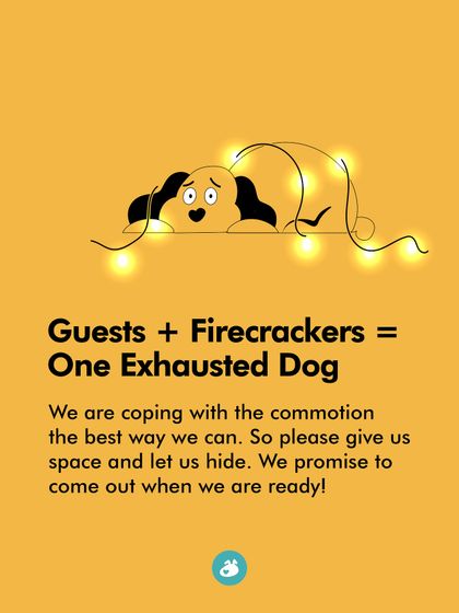 The Pack - Online Pet Parent Community Additional Resources & Updates photo 16