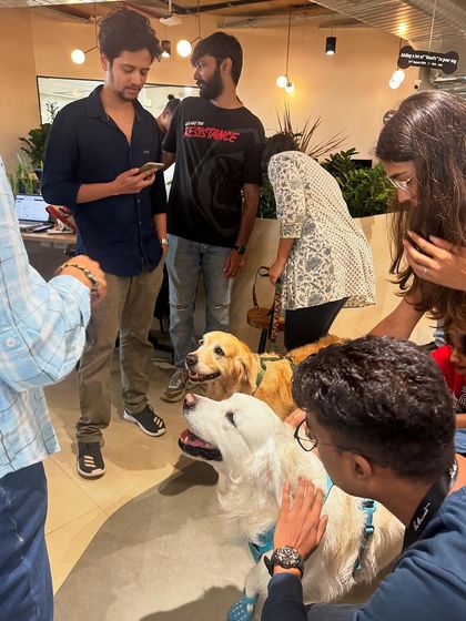 Zoella Dog Training - Puppy Foundation Training Building a Confident, World-Ready Pup photo 8