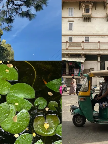 A serene collage of a lily pond, a heritage building, and a passing auto-rickshaw.