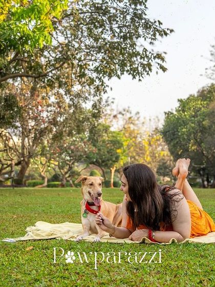 Pawparazzi By Prathima - Pet Milestone Photography Outdoor Adventures & Candid Play photo 34