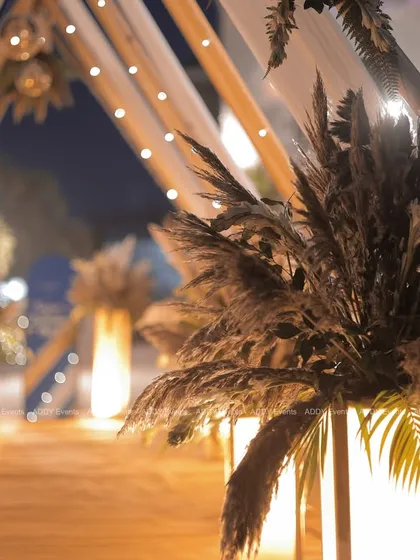A captivating walkway for a boho-chic event. The path is lined with illuminated pillars topped with pampas grass, leading through a triangular arch of warm lights.