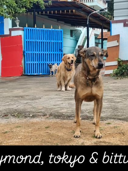 Raymond, Tokyo, and Bittu, a trio of friends posing for the camera.