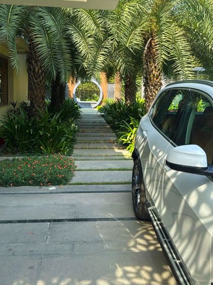 The view down a palm-lined driveway towards the unique circular seating area in the distance. This image captures the sense of journey and destination we create in our landscape designs.