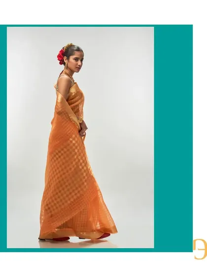 A side view of the orange iced tea saree, showing the beautiful drape and the geometric pattern of the gold zari.
