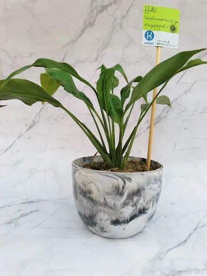 A peace lily planted in our grey marble recycled pot. These planters are not just waterproof and durable, but they also help divert plastic from our environment.