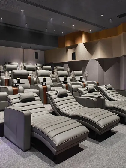 The theater's walls and ceiling are treated with undulating acoustic panels to ensure optimal sound quality, a key technical detail in the design.