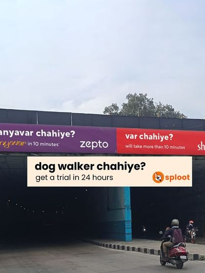 Dog walker chahiye? Get a trial in 24 hours. We're here to take care of your dog, even during the madness of shaadi season.