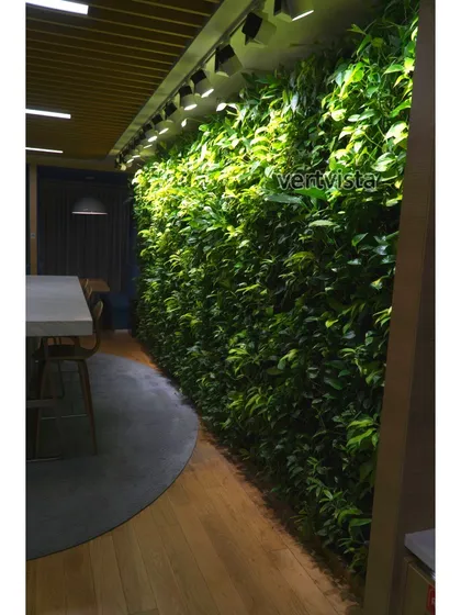 A lush green wall can redefine an interior space. Here, a floor-to-ceiling vertical garden featuring blooming Peace Lilies brings life and tranquility to a modern corporate dining area, naturally purifying the air and improving acoustics.