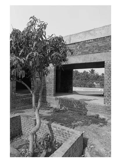 A young mango tree is carefully preserved within a planter during the construction of a new residence. This act demonstrates our commitment to protecting and integrating existing plant life, no matter the scale, into the final design.