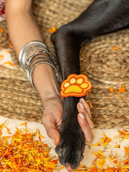 A close-up shot celebrating Rakshabandhan, showing a woman's hand gently holding her dog's paw, which has a cute paw-shaped rakhi tied to it.