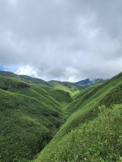 The deep, rolling valleys of Dzukou, covered in a blanket of green bamboo shrubs. It's a landscape unlike any other in India.