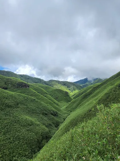 The deep, rolling valleys of Dzukou, covered in a blanket of green bamboo shrubs. It's a landscape unlike any other in India.